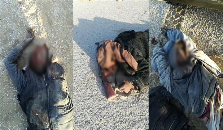 Army uproots terrorist cell in Western Desert