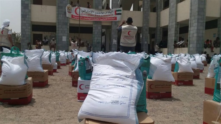 UAE offered assistance worth $ 3.77 to Yemen since 2015