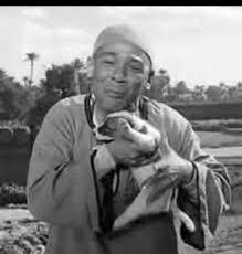 At five in the afternoon, Cairo time (7)