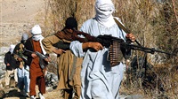 11 Taliban militants