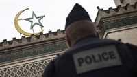 Radicalism in Europe