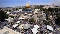 Islamophobia observatory