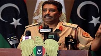 LNA spokesman says