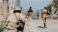 25 Houthis killed