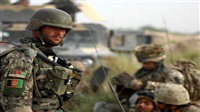 7 Pakistani militants