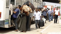 137 Egyptians back