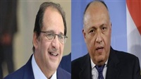 Egyptian FM,intelligence