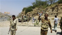 46 Houthi militias