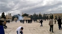 Egypt condemns storming