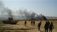 15 Daesh militants,