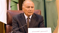Abul Gheit: Palestinian