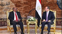 ‎‏ Sudanese-Egyptian