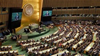 Arab coalition describes
