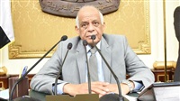 Abdel Aal takes part