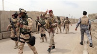 Terrorist cell dismantled