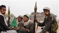 20 Houthis killed