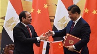 Technological cooperation