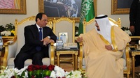 Saudi king receives