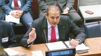 Saudi Arabia supports