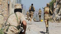 17 Houthis killed,