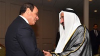 Egyptian-UAE ties