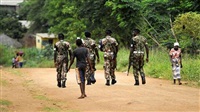 12 killed in suspected