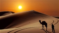 Western Sahara dispute