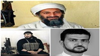 Why terrorist groups