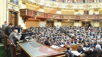 Egyptian parliament