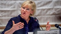 Swedish FM : Yemen