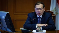  Egypt plans to expand