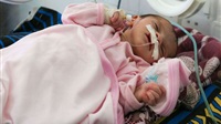 Crimes of Iran-backed