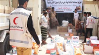 UAE largest donor