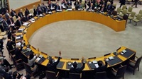 U.N. Security Council