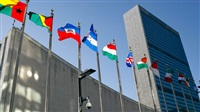 UN council to vote