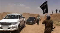 14 Daesh members