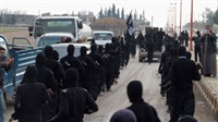 Several Daesh elements