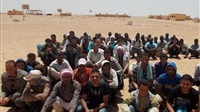 202 Egyptians back