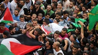 PLO documentation