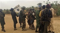 Boko Haram raids