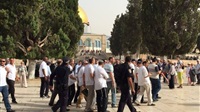 Dozens of settlers