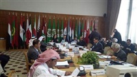 25th meeting of Arab