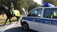 German police dog