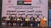 Saudi-Egyptian Business