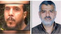 Egyptian takfiris