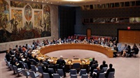 UN Security Council