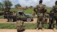 16 Al-Shabab militants