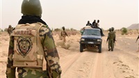 16 Mali soldiers