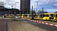 Dutch raise terrorism