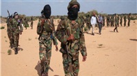 New Somali militia